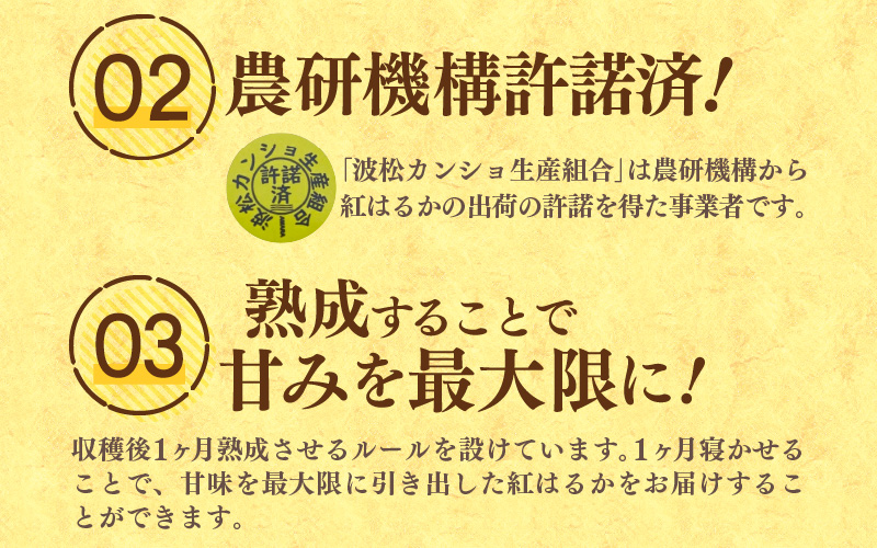 【先行予約】あわら市波松産 紅はるか 5kg / 厳選 不揃い さつまいも 土付き 熟成 焼き芋 福井県 薩摩芋 密芋 スイートポテト しっとり ほっくり 自然のスイーツ 極甘 農研機構許諾済 メディ