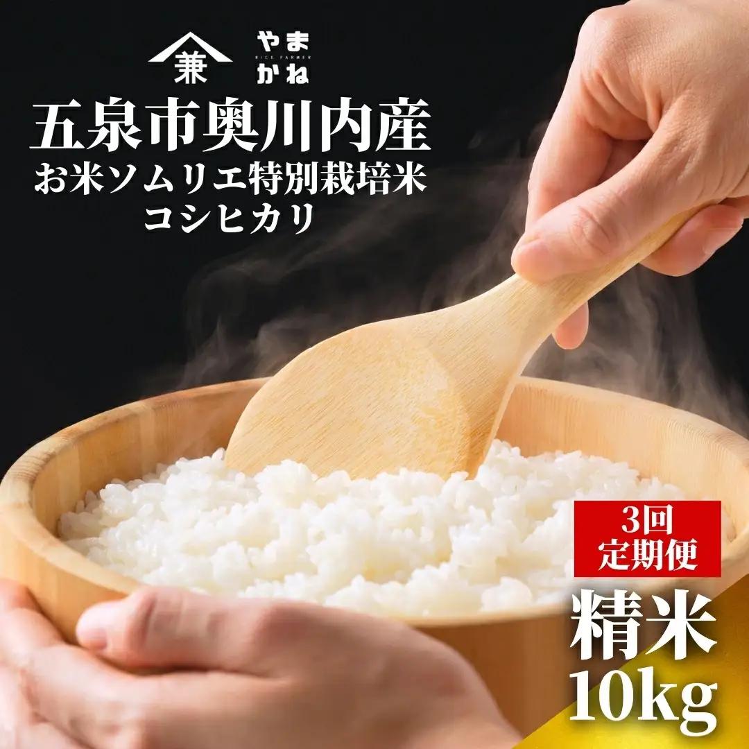 【定期便3回】令和8年産 新米 コシヒカリ 10kg×3回(計30kg) 特別栽培米 色彩選別済み 先行予約 | 新潟県産 米 五泉市