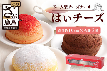 ふわしゅわ食感♪ドーム型スフレケーキ「はいチーズ」3種セット（プレーン・チョコ・いちご）｜お子様に人気 お祝い 誕生日 ギフト 贈答用 イベントスイーツ 佐賀県 鹿島市 送料無料 B-308