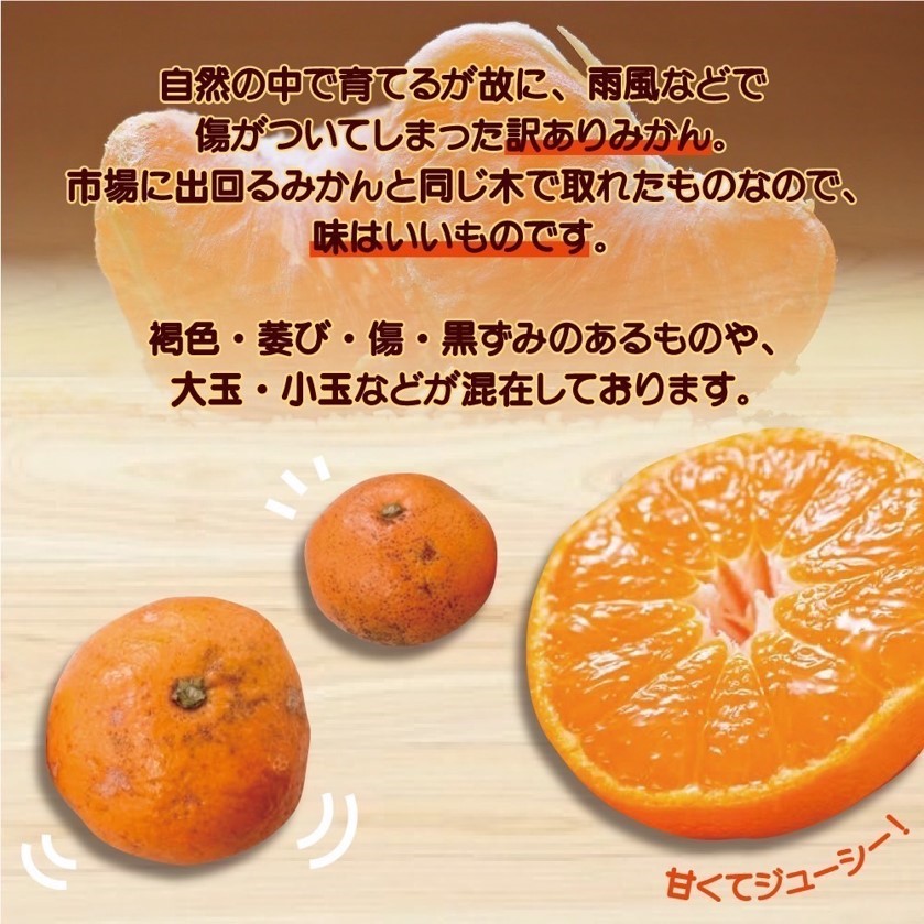 EH6100_【2025年先行予約】【訳あり ご家庭用】和歌山県産 有田みかん 10kg＋2kg保証分 サイズ混合
