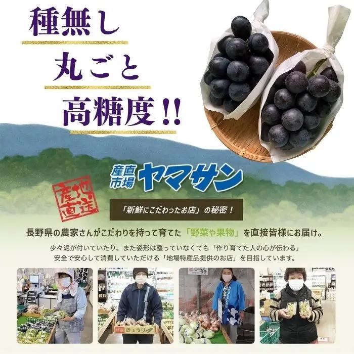 ナガノパープル 約2kg ※最低1.8kg以上（4~6房）| ナガノパープル