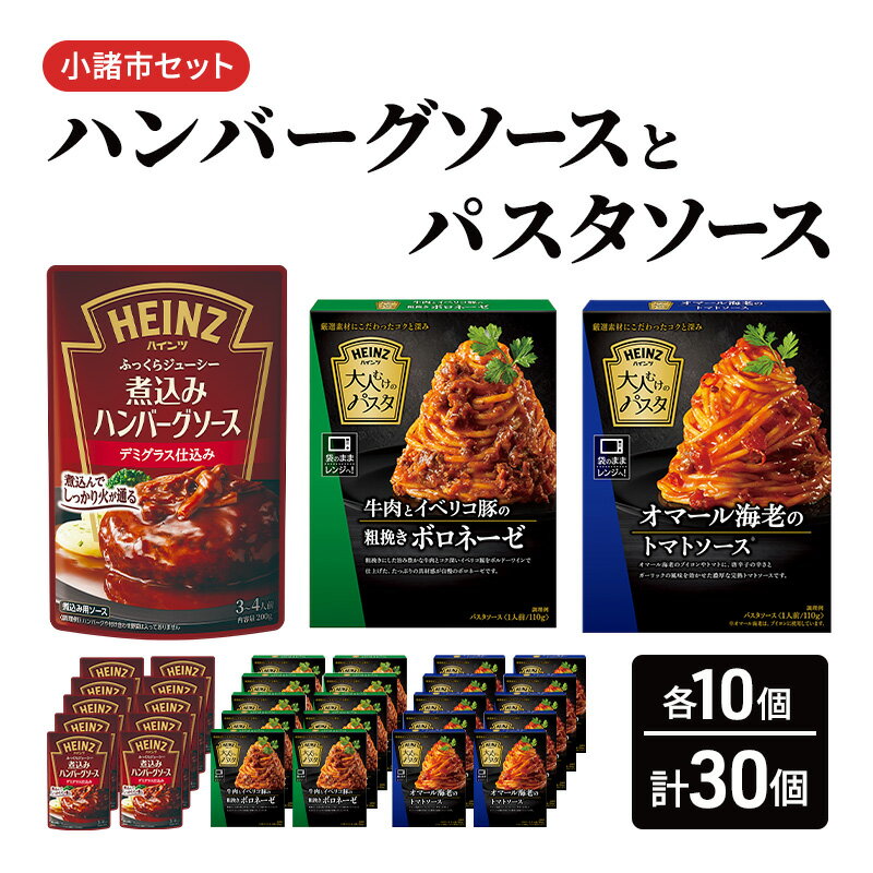【ふるさと納税】「ハインツ」ハンバーグソースとパスタソース　小諸市セット　各10個ずつ　計30個