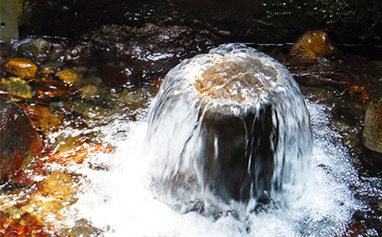 コカ・コーラ い・ろ・は・す(いろはす)阿蘇の天然水 540ml 計48本 540mlPET×24本×2ケース 水 軟水  送料無料《7-14営業日以内に出荷予定(土日祝除く)》