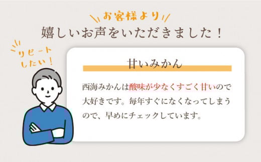 【先行予約☆限定150箱】【訳あり】西海1号 温州 みかん 約10kg（優品/Mサイズ）＜西海柑橘農業協同組合＞［CCF001］