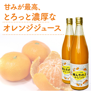 みかん ジュース 720ml×2本 ジュース