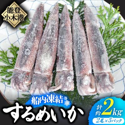 ふるさと納税 能登町 石川県産　船内凍結するめいか