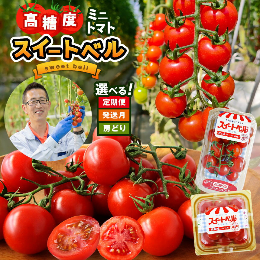 【ふるさと納税】★ レビューキャンペーン ★【 選べる 配送月・選べる 回数 】 高糖度 ミニトマト スイートベル 房どり 180g × 10P ヘタなし 150g × 12P 各種 1回～6回 | 野菜 トマト とまと ミニトマト プチトマト 定期便 3回 6回 送料無料 イチオシ 千葉県 君津市