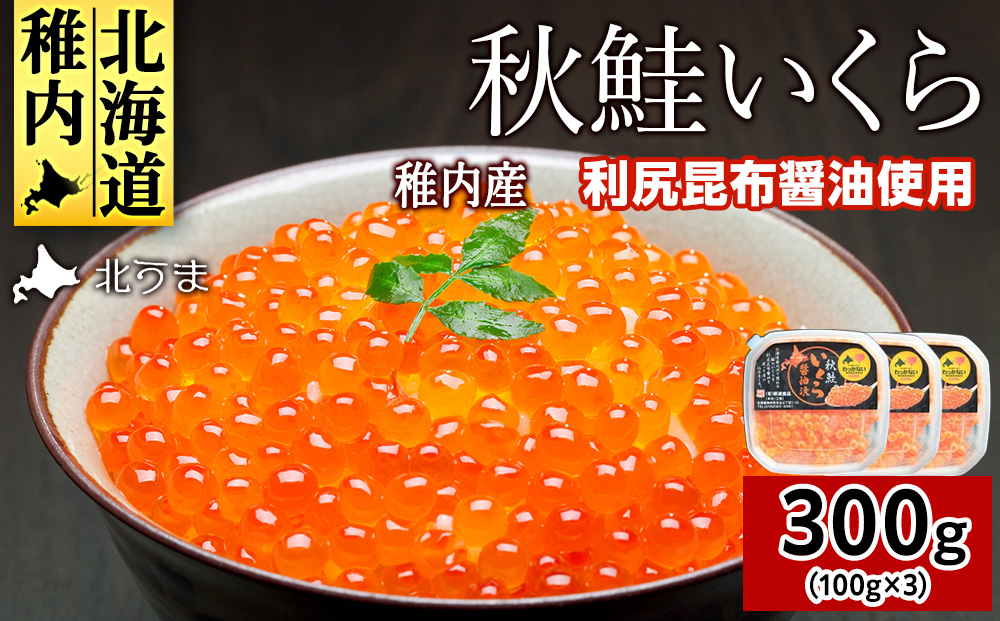 
            ＜宗谷海峡産＞秋鮭いくら醤油漬け100g×3パック_ いくら イクラ 魚卵 海鮮 魚介 秋鮭 醤油漬け 鮭 小分け 便利 100g 北海道 国産 産地直送 送料無料 人気 お取り寄せ おすすめ 天然 贈答 ギフト グルメ 宗谷海峡 冷凍 
          