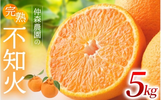 【数量限定】不知火 仲森農園の完熟不知火 5kg 【2027年2月～4月頃で順次発送】 不知火デコポン みかん ミカン 蜜柑 しらぬい 柑橘 フルーツ 果物 くだもの 甘い 旬 不知火 人気 果汁 濃厚 産地直送 国産 お取り寄せ 期間限定 三重県 熊野市【nkmr0003】