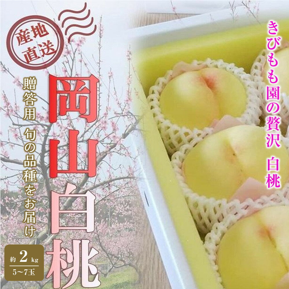 【ふるさと納税】桃 2026年 贈答用 岡山 白桃 約2kg（5～7玉） もも モモ 岡山県 岡山市産 国産 フルーツ 果物 ギフト | もも フルーツ 果物 くだもの 食品 人気 おすすめ 送料無料
