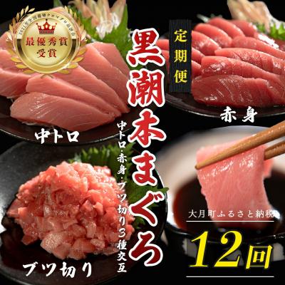 ふるさと納税 大月町 訳あり 不定貫 国産 黒潮本まぐろ 中トロ・赤身・ブツ切り 定期便 120~300g×12回