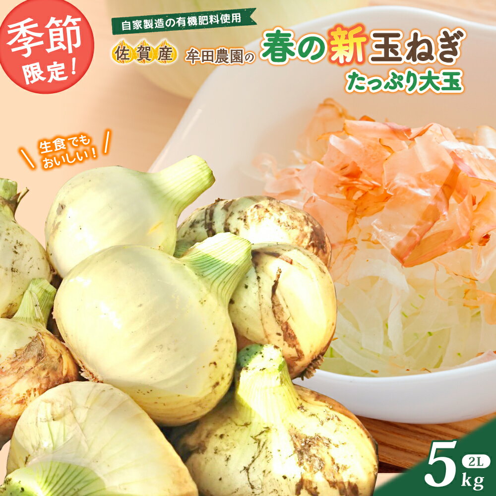 【ふるさと納税】牟田農園の春の新玉ねぎ たっぷり大玉 5kg （2L） 【2026年4月上旬～6月上旬迄順次発送予定】 たまねぎ タマネギ 野菜 新玉ねぎ 玉ねぎ 農家直送 佐賀県 太良町 送料無料 K4x1