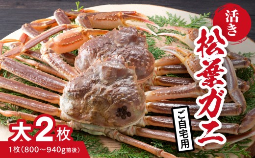 【活き】ご自宅用 松葉ガニ 大 2枚 (1枚800～940g前後) カニ 蟹 松葉ガニ 松葉がに かに 鳥取 高間商店 日野町