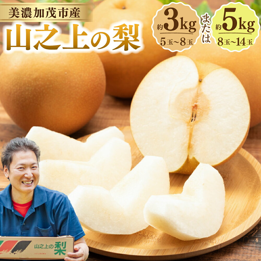 【ふるさと納税】《先行予約》 山之上の梨 （ 品種はおまかせ ）約3kg（ 5～8玉 ）／約5kg（8～14玉）＜選べる内容量＞ 愛甘水 幸水 豊水 あきづき 秋のほほえみ 甘太 なし フルーツ 冷蔵 岐阜県産 国産 岐阜県 美濃加茂市 送料無料 【2026年8月下旬～10月上旬発送予定】