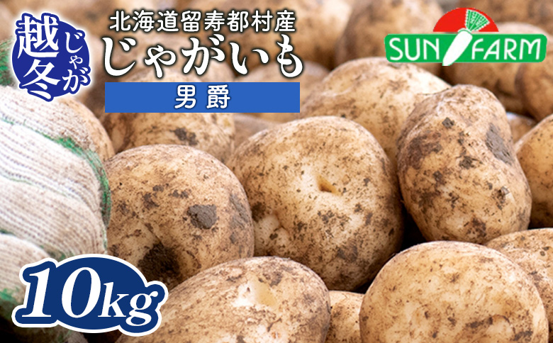 越冬じゃがいも 男爵 10kg いも おいも 芋 イモ ジャガイモ ポテト だんしゃく オンライン 申請 ふるさと納税 北海道 留寿都 野菜 根菜 産地直送 新鮮 採れたて ポテトサラダ コロッケ マッシュポテト 10キロ 留寿都村【24023】