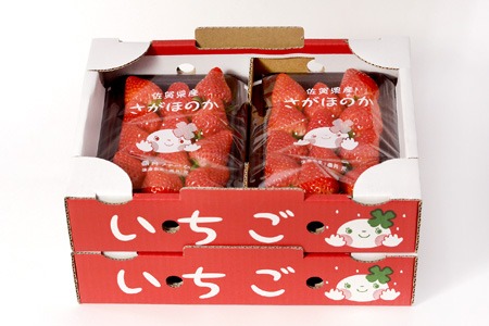 【令和9年1月より発送開始】香月さんちのいちご(さがほのか)280g×4パック 【いちご イチゴ 苺 さがほのか 大玉 大粒フルーツ 果物  数量限定 香月農園 佐賀県産】(H017116)