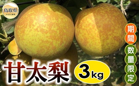 B25-014 甘太梨　3㎏【期間･数量限定】