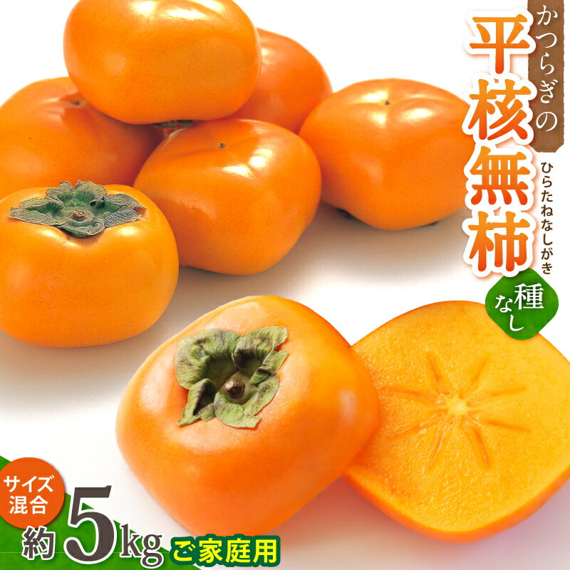 【ふるさと納税】 【訳あり・ご家庭用】和歌山県産 平核無柿 約5kg 【10月上旬～11月上旬順次発送】【MG68】 | 柿 たねなし柿 平核無柿 果物 フルーツ 和歌山ご家庭用 和歌山 特産品 先行予約 お取り寄せ 訳あり 家庭用