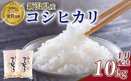 【令和7年産】 1月発送 コシヒカリ 5kg 新米 新潟 shibatafarm006_2026_01_01