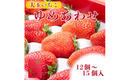 【 先行予約 】いちご やよいひめ かおりの 12～15個 化粧箱  いちご いちご いちご いちご いちご