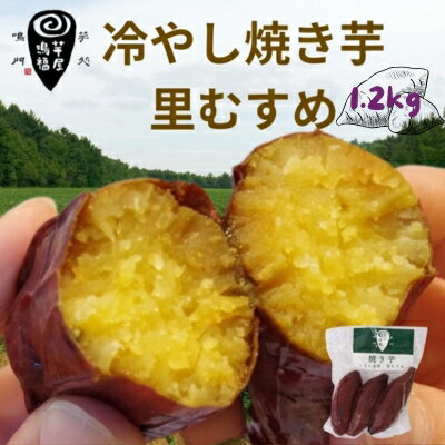 【ふるさと納税】 さつまいも 冷やし焼き芋 里むすめ 1.2kg 【芋屋鳴福】 道の駅くるくるなると しっとり なめらか 甘い なると金時 鳴門金時 ブランド 国産 産地直送 スイーツ 焼芋 焼きいも おやつ 離乳食 さつま芋 里娘