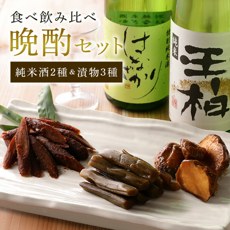 【ふるさと納税】 日本酒 お酒 漬物 食べ比べ 飲み比べ 晩酌 セット 酒 送料無料 y2-97