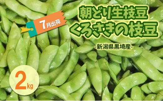 
                  くろさきの枝豆2kg 【6月末～7月発送】 新潟県黒埼産  朝どり生枝豆
                