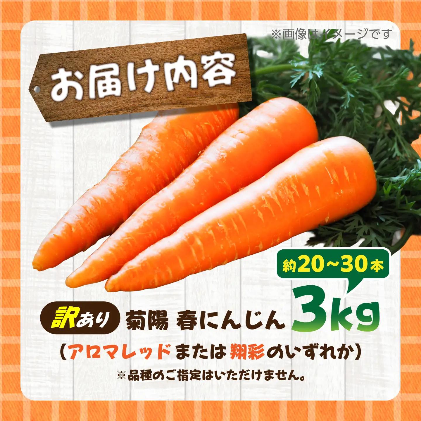 訳あり菊陽春にんじん 3kg にんじん BHDH004