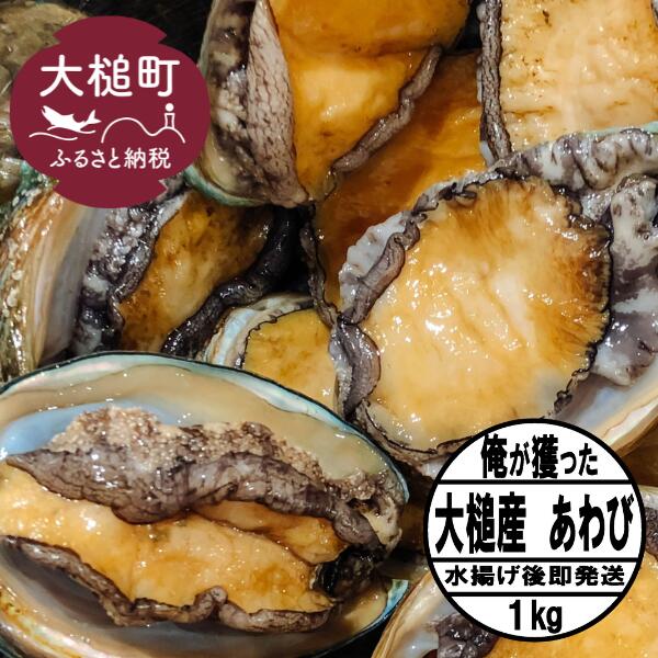 【ふるさと納税】【2026年11月・12月期間限定発送】アワビ約 1kg（7個前後）※アワビヘラ＆軍手付き