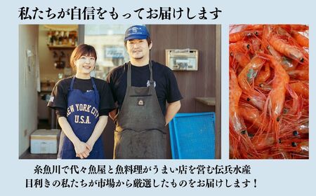 ［9月以降順次発送予定］南蛮エビ 日本海直送鮮度抜群！糸魚川産『甘エビ』 250g×5パック 際立つ甘さと鮮やかさ  甘くとろける格別の味 【プロも太鼓判！】伝兵水産【えび エビ 甘えび 南蛮エビ】 