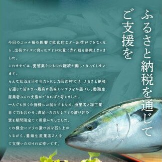 KYF121　緊急支援 海鮮「ブリの漬け丼の素」1食80g×10P《迷子の鰤を食べて応援 養殖生産業者応援プロジェクト》応援 順次出荷中 惣菜 そうざい冷凍 保存食 小分け パック 高知 海鮮丼 一人