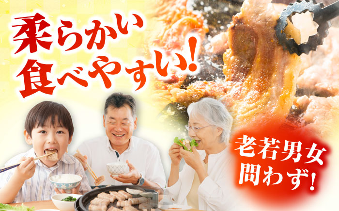 【6回定期便】五島美豚焼肉1kg（ロース500g バラ500g） 五島市/ごとう農業協同組合[PAF011] 