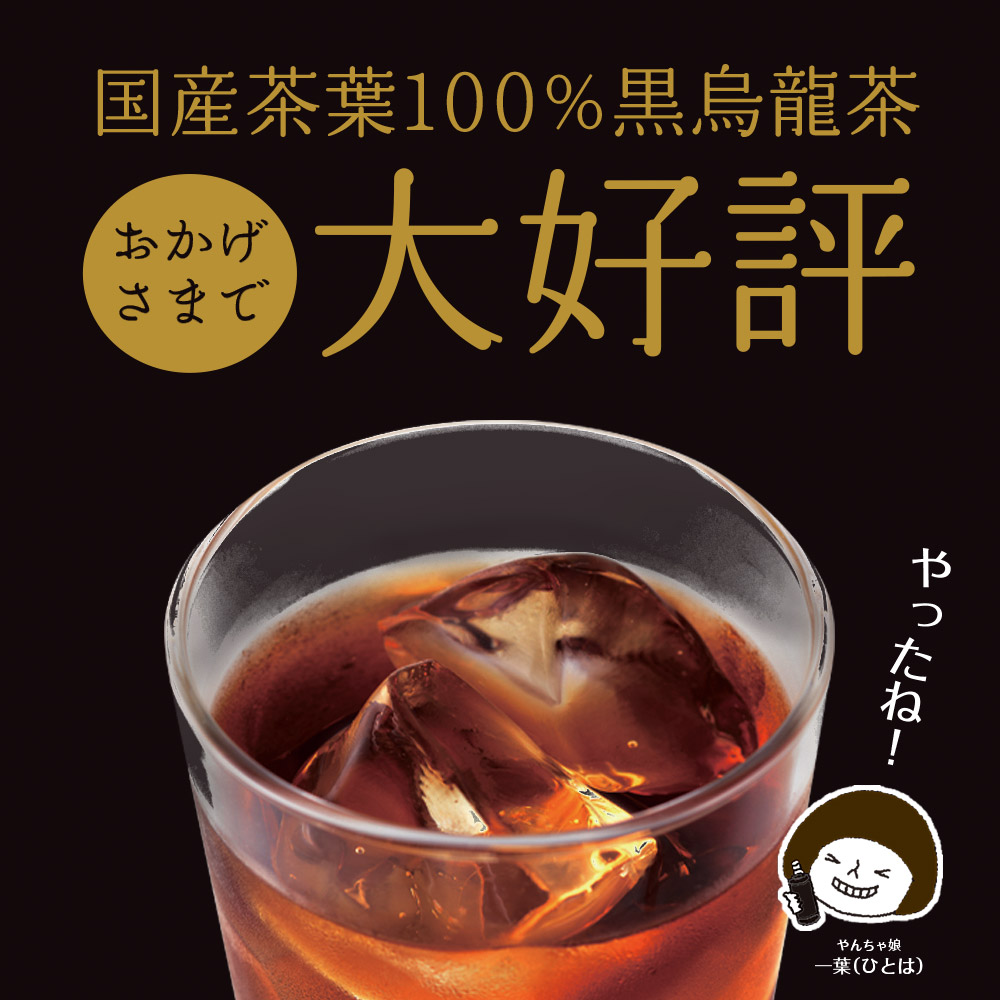 【定期便3か月】 静岡県産 黒烏龍茶 2L × 9本 ペットボトル 黒ウーロン茶 国産 ポリフェノール配合 いなば園 ウーロン茶 牧之原市 お茶
