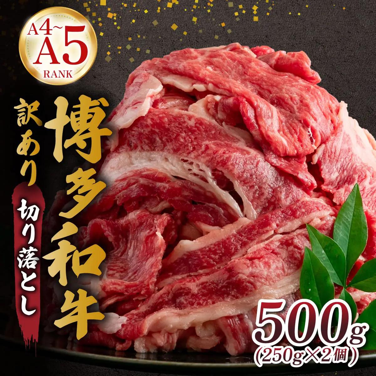 【訳あり】【A4～A5ランク】博多和牛 切り落とし 500ｇ（250g×2個）