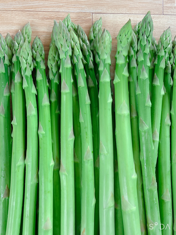 会津若松市産 アスパラガス 1kg｜会津産 野菜 アスパラ あすぱら サラダ 【2026年8月上旬から9月下旬発送予定】 農家 産直 [0656]