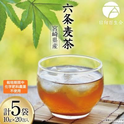 ふるさと納税 日向市 お茶 六条麦茶( 10g 20包 )×5袋