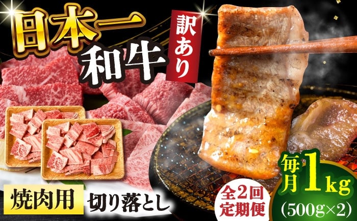 
            【全2回定期便】【訳あり】【A4～A5】長崎和牛焼肉切り落とし(肩ロース・バラ）　1kg（500g×2p）【株式会社 MEAT PLUS】 [DBS045]長崎和牛 和牛 国産 牛肉  長崎和牛 焼肉 切り落とし 肩ロース バラ 1kg 500g 2パック2回定期便 定期便 2回 訳あり 訳アリ
          