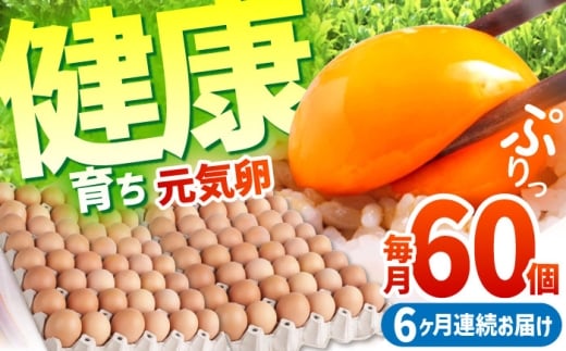【全6回定期便】お茶と海藻で健康育ち 元気卵 360個（60個×6回） / たまご タマゴ 玉子 鶏卵 / 亀山市 / 藪本養鶏園 [AMBH010]
