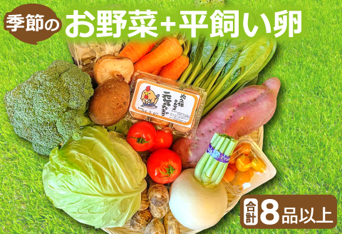 A-792 新鮮！季節のお野菜と平飼い卵のセット（8～10品）