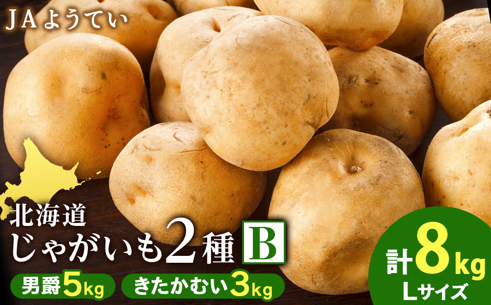 【2025年発送 先行予約】じゃがいも2種 馬鈴薯（男爵5kg＆きたかむい3kg）Ｌサイズ 合計8kｇ＜JAようてい＞じゃがいも 芋 秋じゃが 野菜 ポテト 北海道 国産