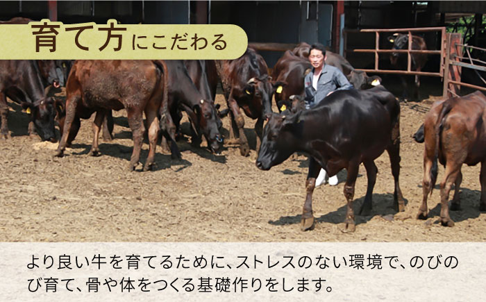 【6回定期便】長崎県産 和牛 肩ロース スライス 500g / すき焼き / しゃぶしゃぶ / 南島原市 / 高田牧場 [SDB009]