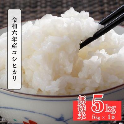 ふるさと納税 福島市 大文字屋米穀店【令和6年産】コシヒカリ精米(無洗米)1等米 5kg　No.2500