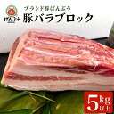 【ふるさと納税】ブランド豚「ばんぶぅ」豚バラブロック1本 ばんぶぅ 豚肉 豚バラ肉 ブロック肉 しゃぶしゃぶ 焼き肉 豚バラ 真空パック しゃぶしゃぶ肉 焼肉用 お鍋用 ブタ肉 国産 茨城県産 ギフト プレゼント 冷蔵 高級部位 ブランド豚 42−D