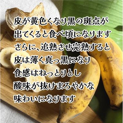 ふるさと納税 国頭村 【栽培期間中農薬不使用】やんばるバナナ1.5kg(10〜24本) |  | 03