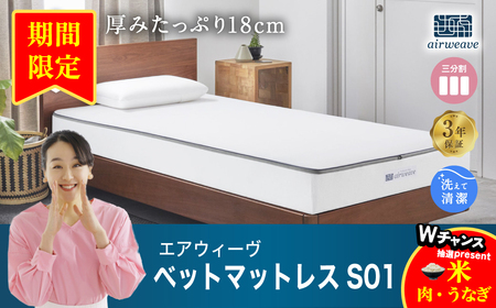 エアウィーヴ S01 クイーン ｴｱｳｨｰｳﾞ