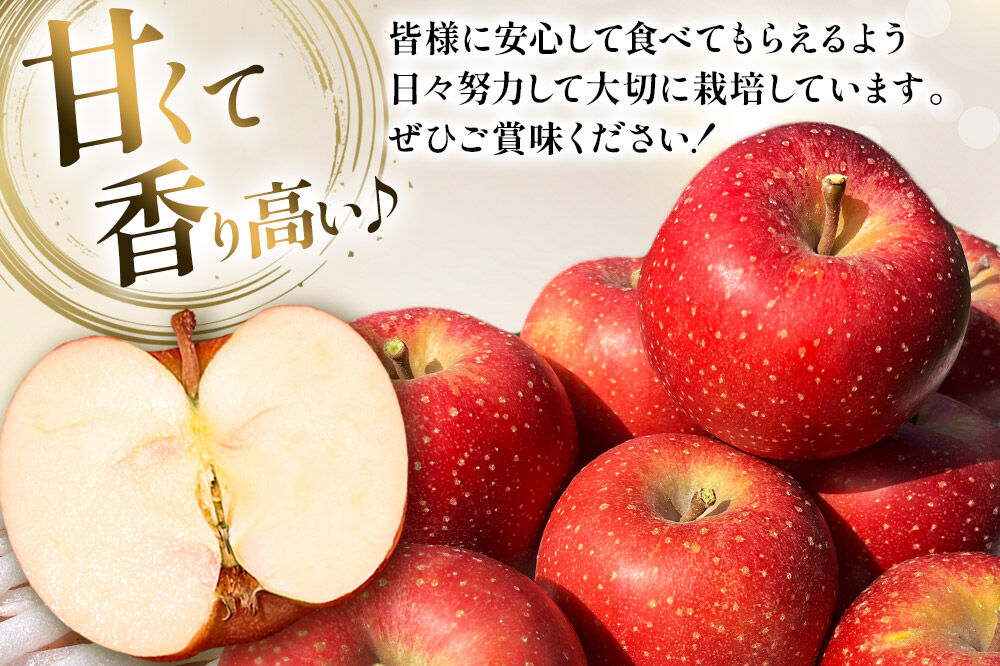 【寄附金額見直しました】【26年10月下旬～発送】りんご 千雪 約10kg カワムラファーム【家庭用】青森 果物 フルーツ 林檎 リンゴ くだもの [先行受付 アップル おいしい ちゆき 果実 果物 