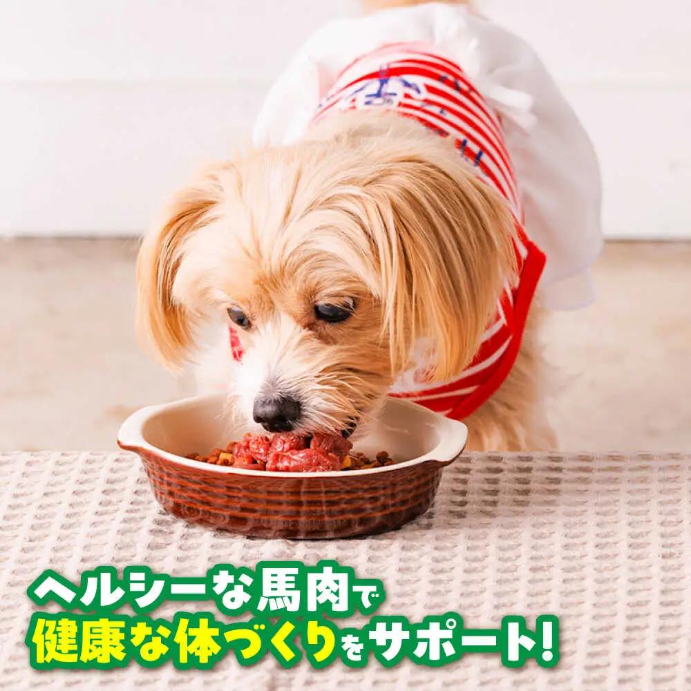 国内加工 ペット用 馬肉 切り落とし 約2kg ペット用 BHCY057