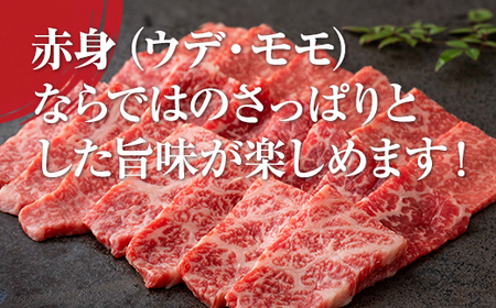 佐賀牛カルビ焼肉(赤身)400g 肉本舗小城  B120-029