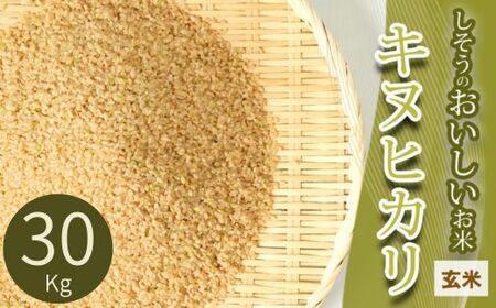 I4【令和7年産】しそうのおいしい お米　キヌヒカリ 玄米 30Kg