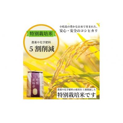 ふるさと納税 小松島市 【2026年9月順次発送】 令和8年産 新米 白米 コシヒカリ 5kg 特別栽培米 |  | 01